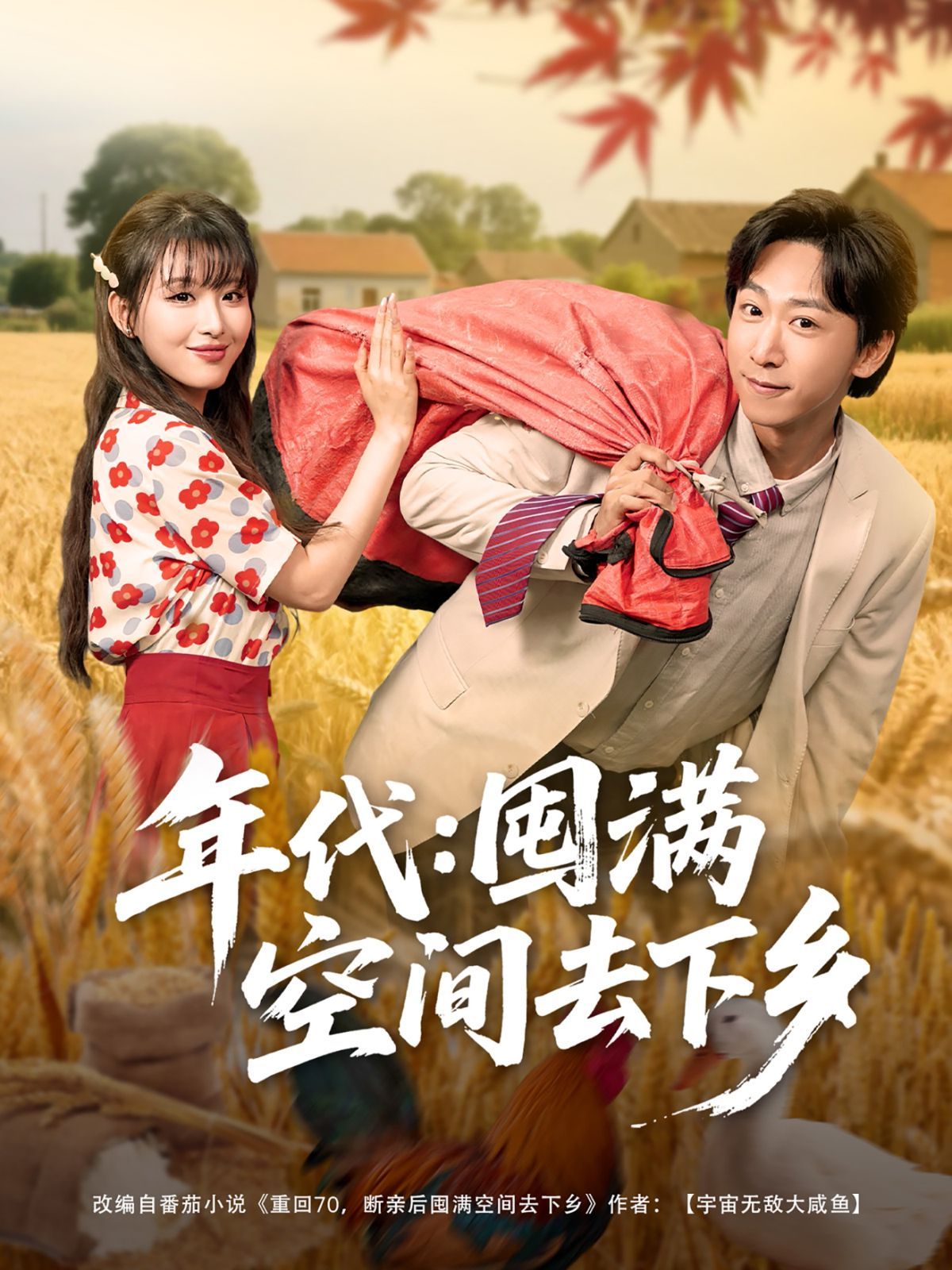 年代囤满空间去下乡(全集)