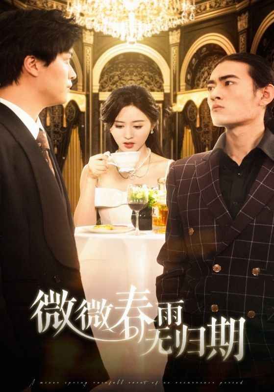 微微春雨无归期(全集)
