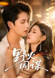 野火同谋(全集)