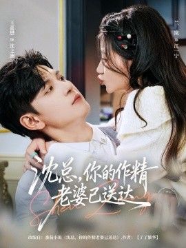 沈总，你的作精老婆已送达(全集)