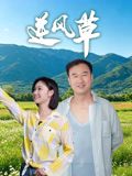 逆风草(全集)