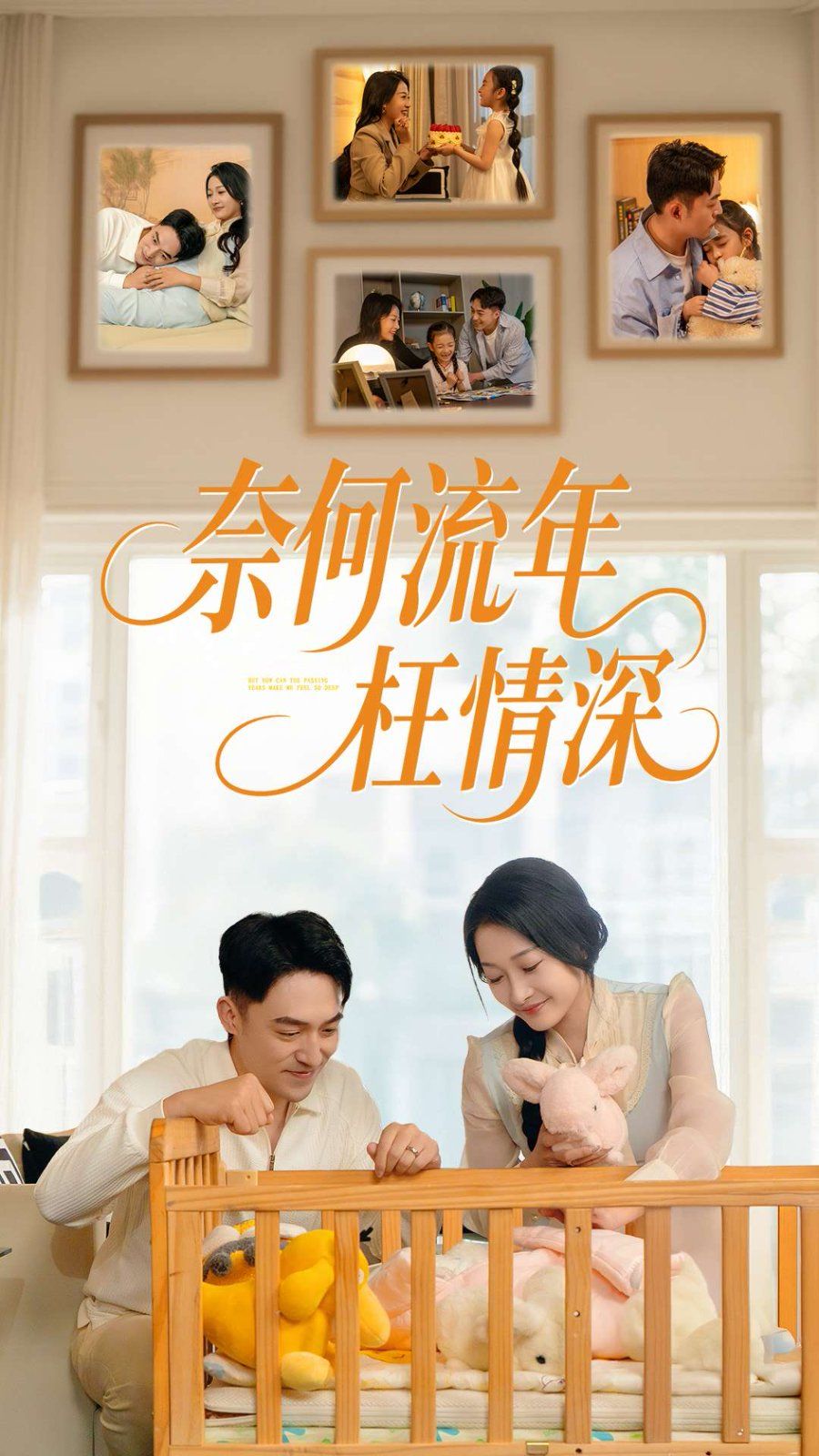 新奈何流年枉情深 第1-30集